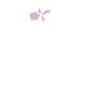 Ballota